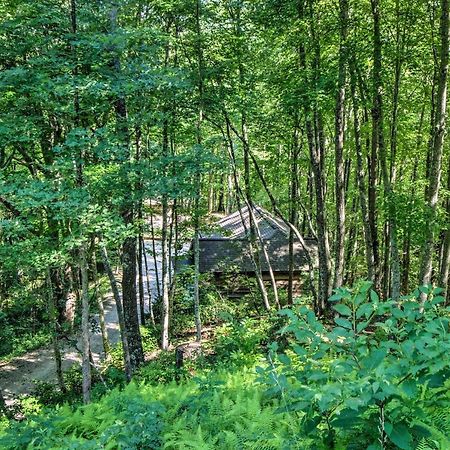 Cozy The Woodshop Cabin With Deck And Forest Views! Robbinsville Kültér fotó
