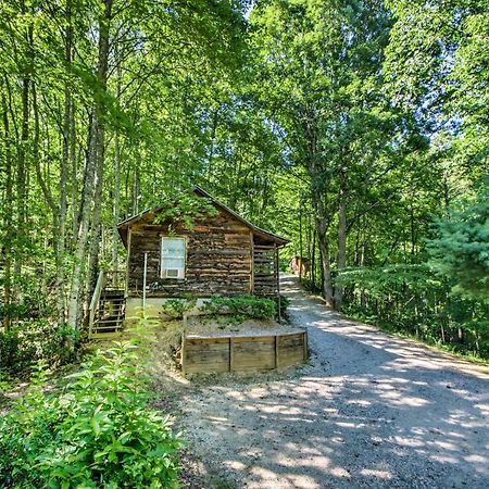Cozy The Woodshop Cabin With Deck And Forest Views! Robbinsville Kültér fotó